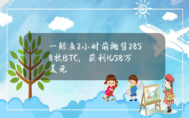 一鲸鱼2小时前抛售285.8枚BTC，获利1058万美元