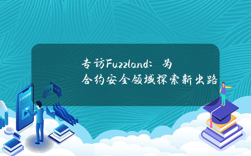 专访Fuzzland：为合约安全领域探索新出路