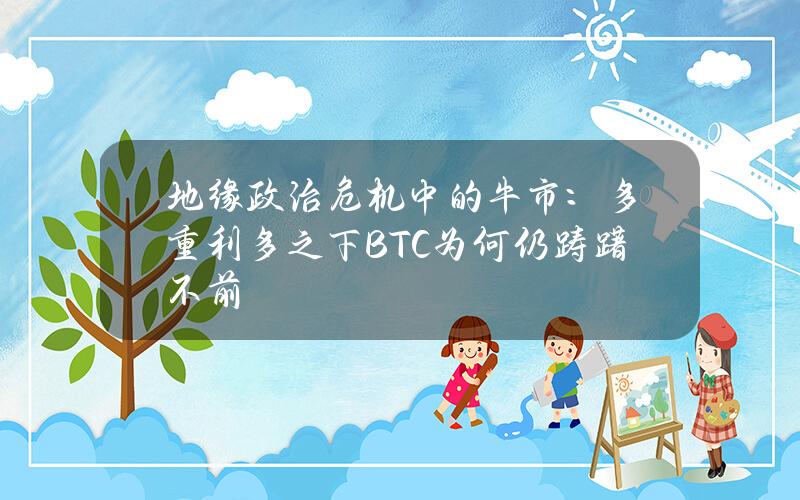 地缘政治危机中的牛市：多重利多之下BTC为何仍踌躇不前？