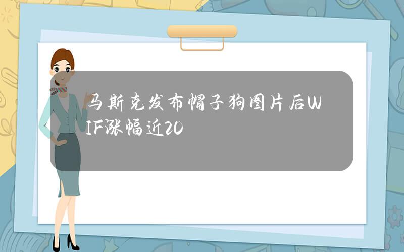 马斯克发布帽子狗图片后WIF涨幅近20%